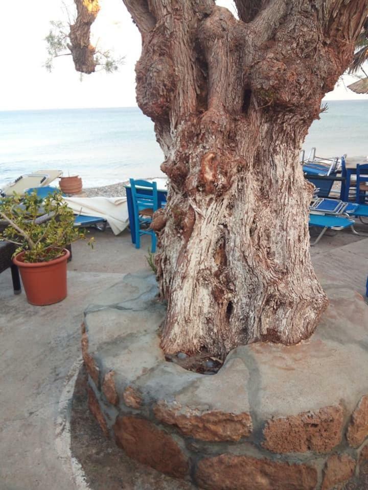 Beachfront Apartment Kato Zakros Luaran gambar